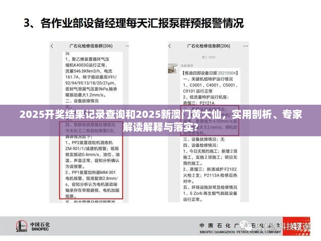 2025开奖结果记录查询和2025新澳门黄大仙，实用剖析、专家解读解释与落实?