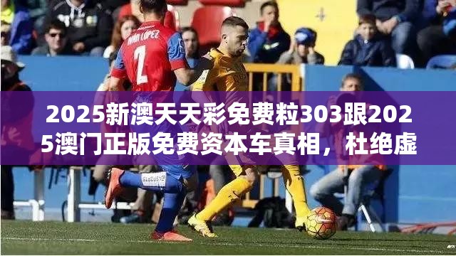 2025新澳天天彩免费粒303跟2025澳门正版免费资本车真相，杜绝虚假诱导链-本质释义、专家解析解释与落实
