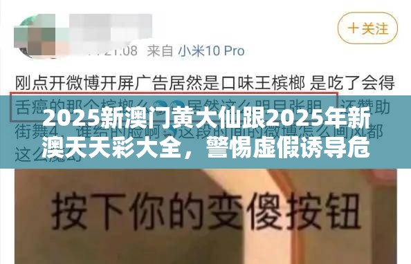 2025新澳门黄大仙跟2025年新澳天天彩大全，警惕虚假诱导危害-痛点释义、专家解析解释与落实
