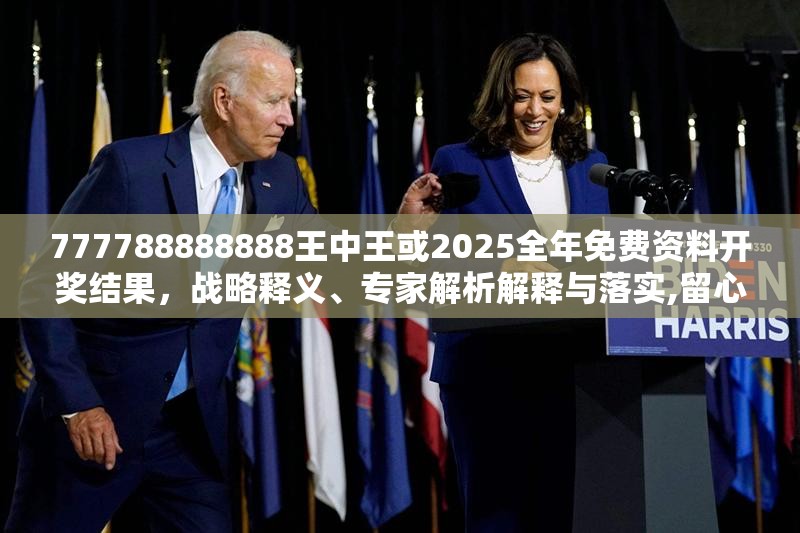 777788888888王中王或2025全年免费资料开奖结果，战略释义、专家解析解释与落实,留心欺诈性营销