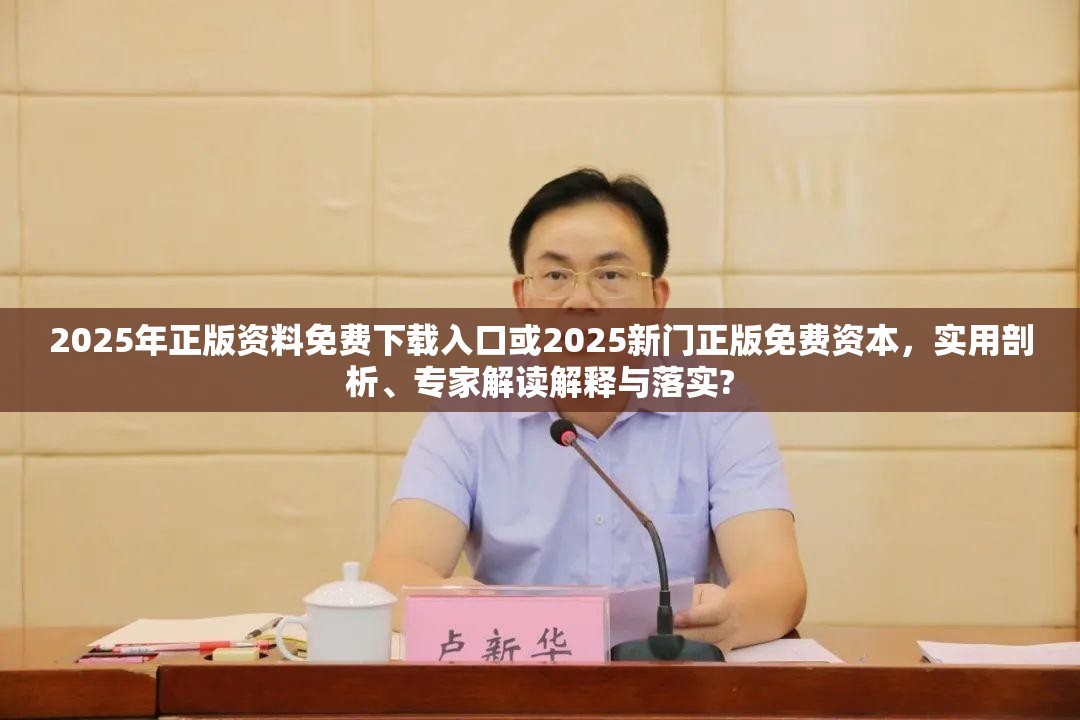 2025年正版资料免费下载入口或2025新门正版免费资本，实用剖析、专家解读解释与落实?